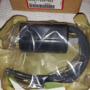 Zündspule, Coil R.Ignition passend bei CB750.K1 ect.
