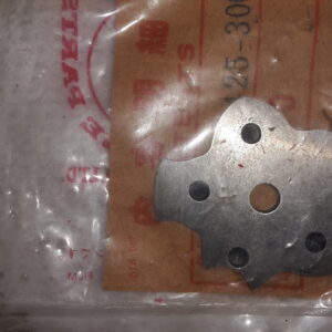 PLATE SHIFT DRUM CAM CB750KZ-CA (24303-425-310)