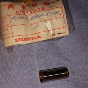 PIN PIKTEN C100