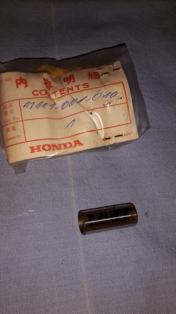 PIN PIKTEN C100