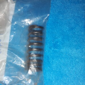 SP.VALVE INNER, CX500Z.DZ.C