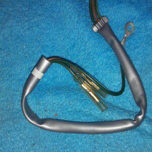 CORD,TAIL;LT.SUB:, SL90-100