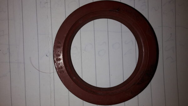 SIMMERRING 45x62x10