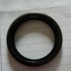 SIMMERRING 48x62x7