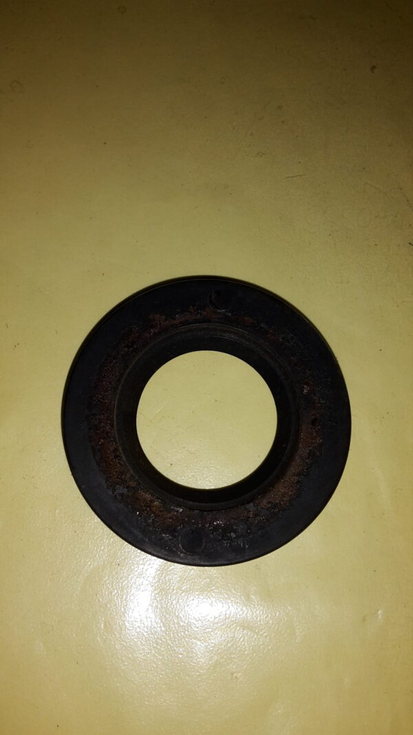 SIMMERRING 25x46x7 MIT METALL
