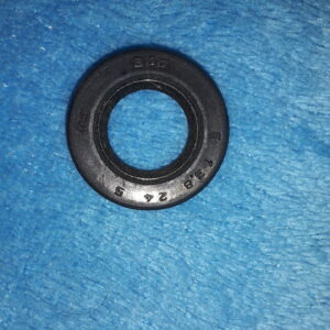 OIL SEAL  13,8x24x5 , CS65