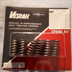 KUPPLUNGSFEDER SATZ CSK 15,  GSX1100 ect.