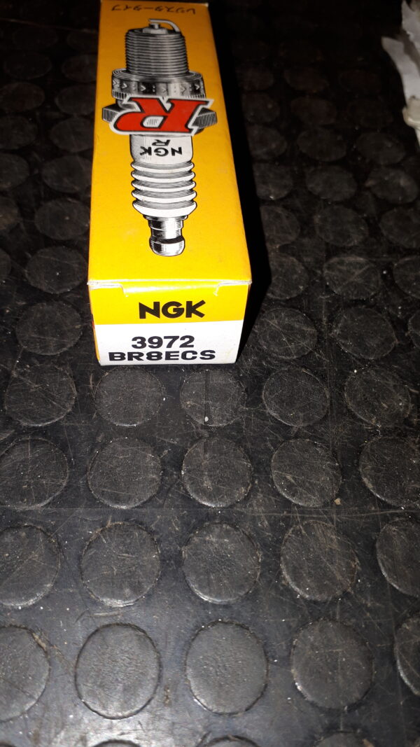 NGK ZÜNDKERZE BR8ECS – 3972