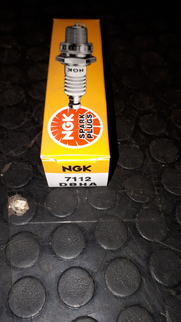 NGK ZÜNDKERZE D8HA -7112