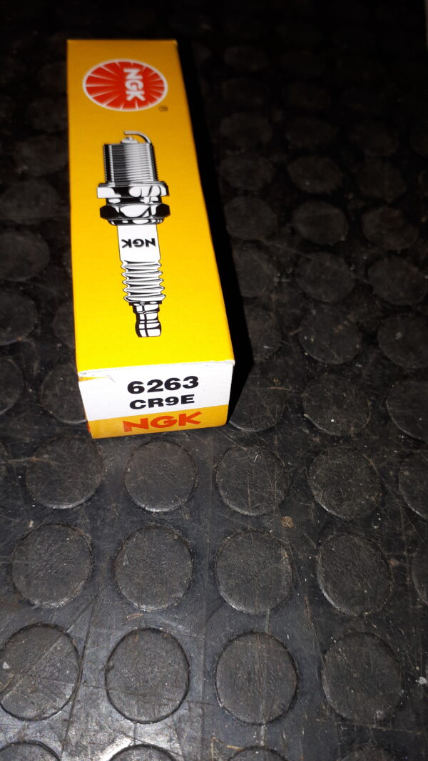 NGK ZÜNDKERZE CR9E – 6263