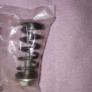 KUPPLUNGSFEDER + BOLZEN DT/RD