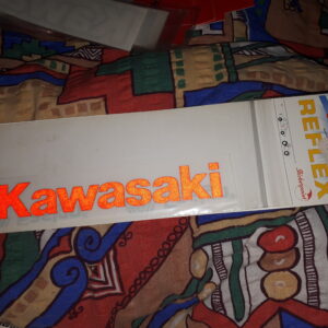 SCHRIFTZUG KAWASAKI ROT REFLEX