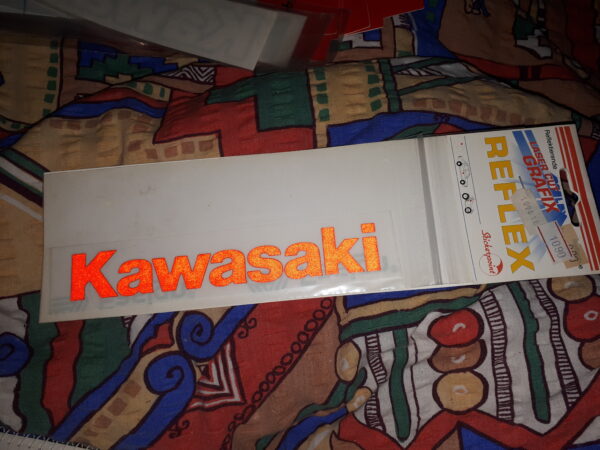 SCHRIFTZUG KAWASAKI ROT REFLEX