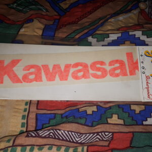 SCHRIFTZUG KAWASAKI ORANGE