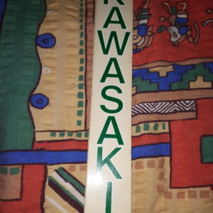 SCHRIFTZUG KAWASAKI GRÜN MIT WEIßEM RAND GABELAUFKLEBER