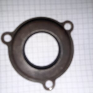 H030+031 KAPPE MIT SIMMERRING