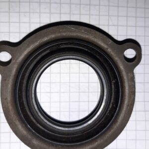 H030+031 KAPPE MIT SIMMERRING