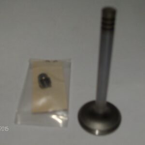 T2B065 +064 AUSLASSVENTIL 34mm (Mit Rillen) MIT KEILKEGEL